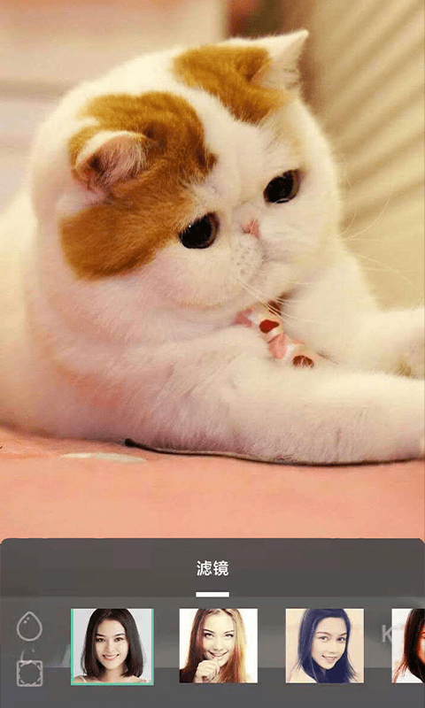 carton��׿�� V1.0