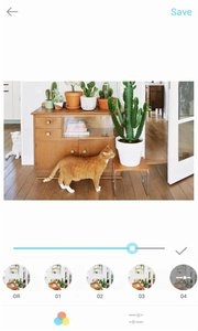 ������ͼ�˾����