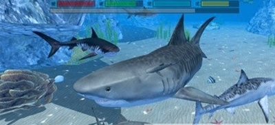 终极鲨鱼攻击安卓版 V1.0.3