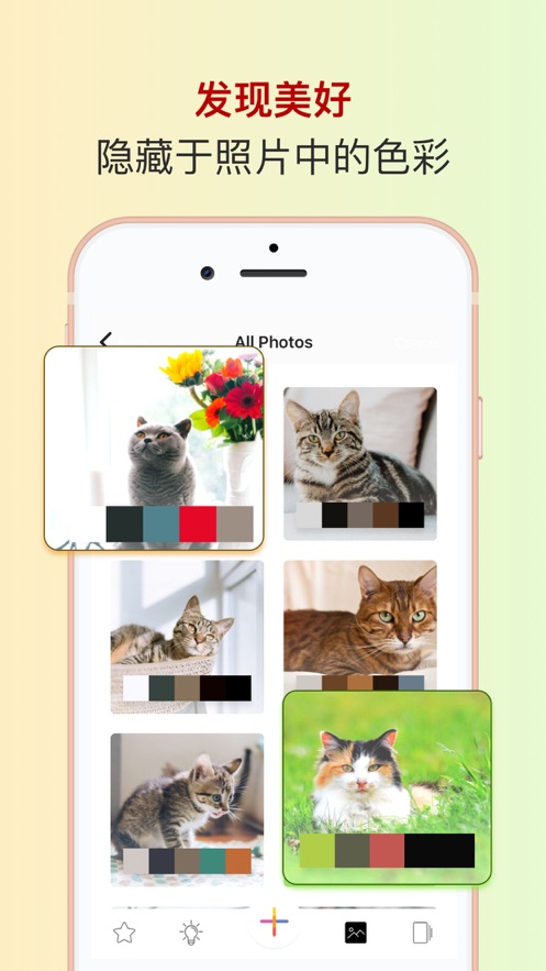 ɫ�ɰ�׿�� V2.5.6