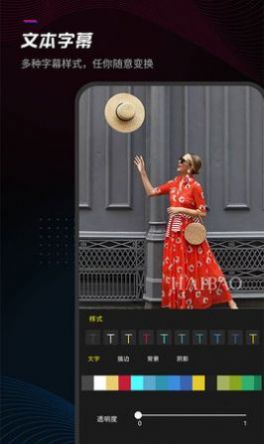 ������Ƶ����