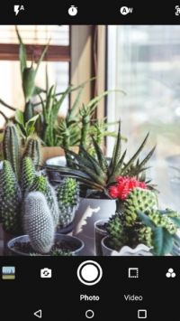 �ɱ佹�����