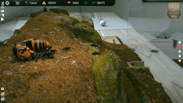 ����ģ�������޽����ʯ��