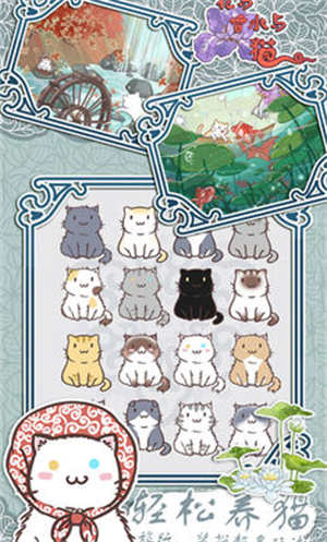 ������ˮ��è