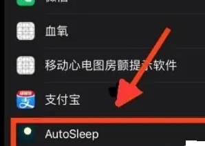 autosleep鿴