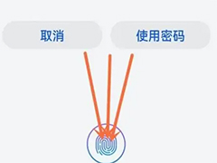 ΪӦ̵ô룿ΪӦ̵뷽