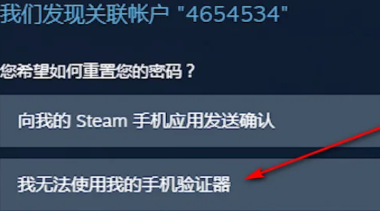 steam˺ű䱻ôһ