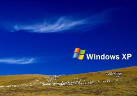 WinXP系统网络邻居没有本地连接的解决方法