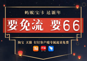 支付宝近日推出蚂蚁国宝卡 月费66元针对高端用户