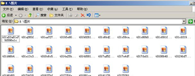 WinXP系统电脑图片文件名全部消失的解决方法