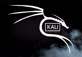 Win10怎么安装Kali Linux 系统安装Kali Linux的操作方法