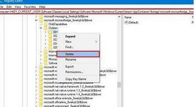 Win10使用Edge浏览器就会闪退的解决办法
