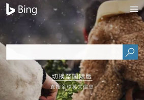 中国微软Bing搜索服务已全部恢复正常