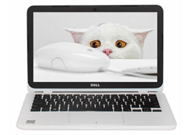 戴尔灵越Ins11商务本开机热键一键U盘启动图文教程