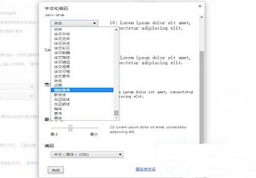 Win7系统当中的chrome谷歌浏览器默认字体该如何修改？