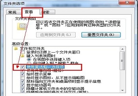 Win7系统中资源管理器复选框选项如何打开？
