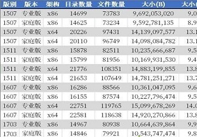 如何通过Win10系统中DIS来查看文件夹数量？