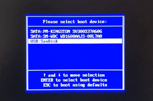 在启动选项窗口中选择usb:SanDisk