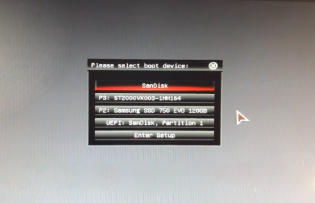 在启动选项窗口中选择SanDisk