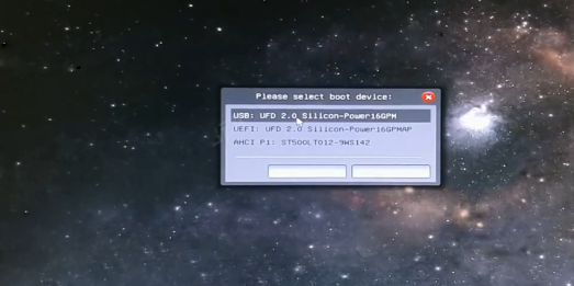 在启动选项窗口中选择usb:UFD2.0