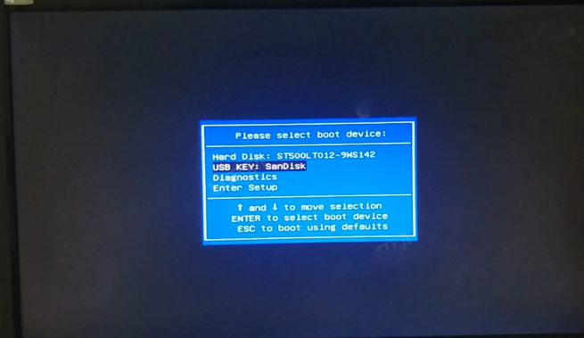 在启动选项窗口中选择usb key:SanDisk