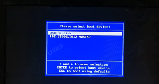 在启动选项窗口中选择usb:SanDisk