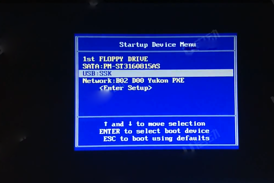 在启动选项窗口中选择usb：ssk