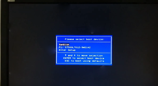 在启动选项窗口中选择SanDisk