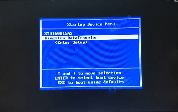 在启动选项窗口中选择Kingston DataTraveler
