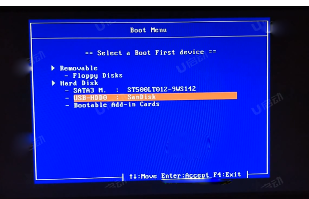 在启动选项窗口中选择usb：SanDisk