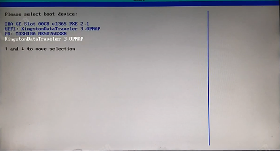 在启动选项窗口中选择Kingston DataTraveler 3.0 OPMAP