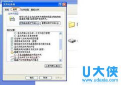 轻松解决u盘文件夹不显示的三大技巧