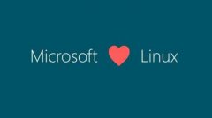 微软吁Linux开发人员放弃Linux 迁移到Windows 10