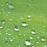 Galaxy S3��ζ�̬��ֽ