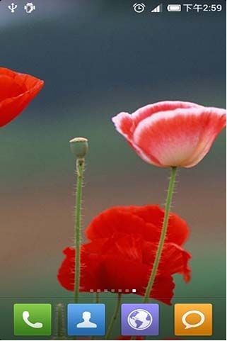 Ψ����̬��ֽ��׿�� V1.7.9