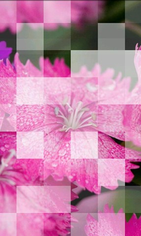 ������ն�̬��ֽ��׿�� V2.3