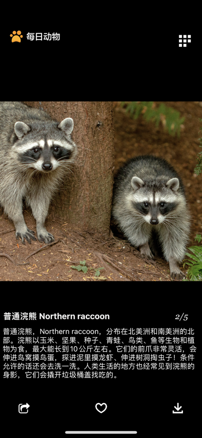 ÿ�ն��ﰲ׿�� V1.0