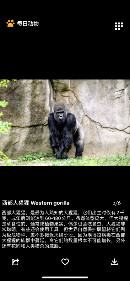 ÿ�ն��ﰲ׿�� V1.0