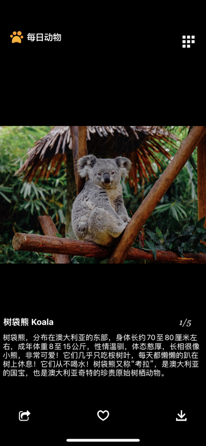 ÿ�ն��ﰲ׿�� V1.0