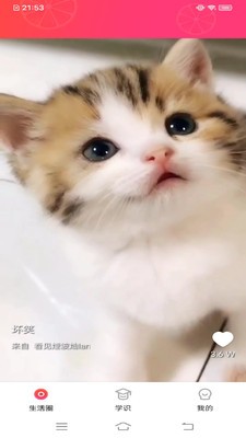 ������Ƶ��׿�ƽ�� V1.0.1