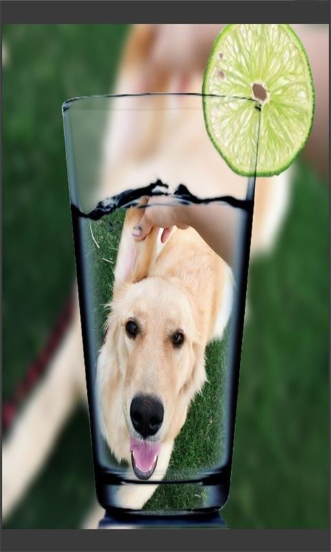 Ȥ����ͼ�������׿�� V8081.21.12.20