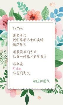 PicSay安卓版 V1.3.4