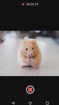 �ɱ佹�������׿�� V8.1.0