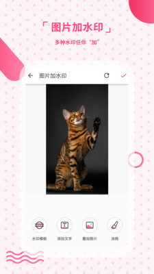 ȥˮӡ�����׿�� V2.19