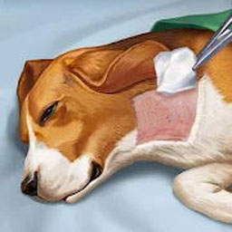 �������ģ����