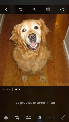 Photoshop Express��׿���İ� V5.0.510