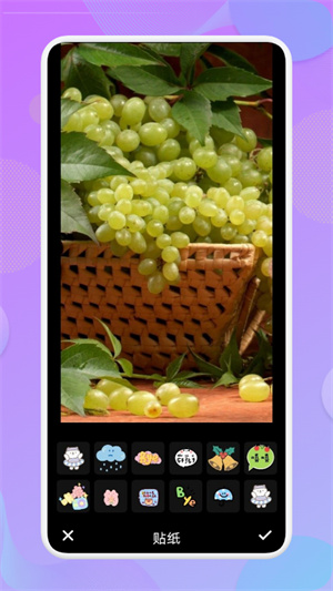 �羰�����׿�� V1.1