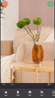 ���������׿�� V2021.5.300