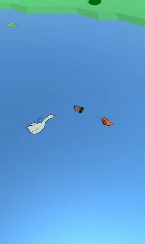 皮皮鹅安卓版 V1.0.3