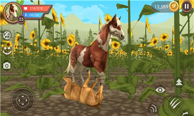 �������˰�׿�� V1.1